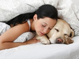 How to Get an ESA (Emotional Support Animal) Letter?