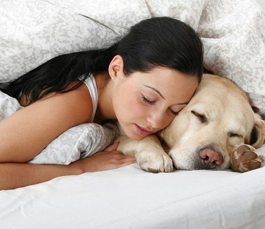 How to Get an ESA (Emotional Support Animal) Letter?