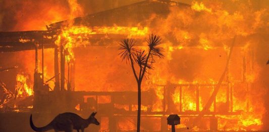 Celebrities Joined Hands to Support the Victims of Australia Bushfires