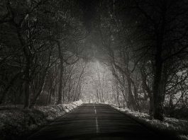 Top Mysterious Disappearances That No One Can Solve