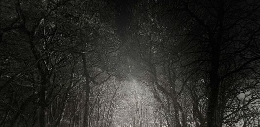 Top Mysterious Disappearances That No One Can Solve