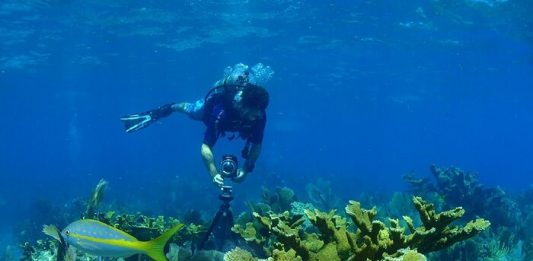 Some Interesting Things Found Exploring NOAA’s Deep-sea Dives Some Interesting Things Found Exploring NOAA’s Deep-sea Dives