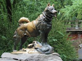 Amazing Animals that Changed the History of the World Amazing Animals that Changed the History of the World