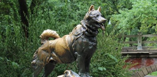 Amazing Animals that Changed the History of the World