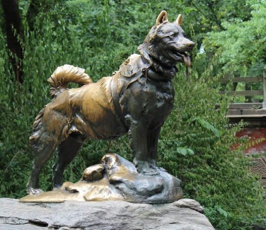 Amazing Animals that Changed the History of the World