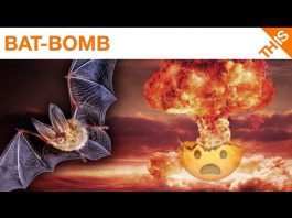 The Bat Bombs of World War II: History
