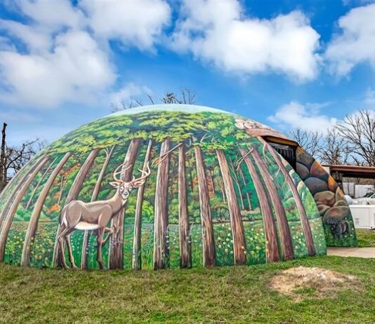 Visit This $2.25 Million Underground House in Texas